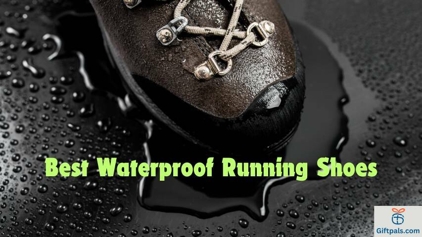 Best Waterproof Running Shoes
