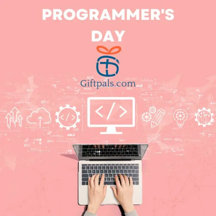 Programmer's Day Gift Ideas 