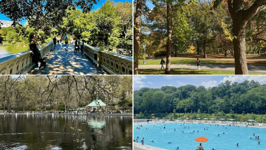 Central Park Picnic Parties — Cheap Outdoor Kids Birthday Party NYC for All Ages