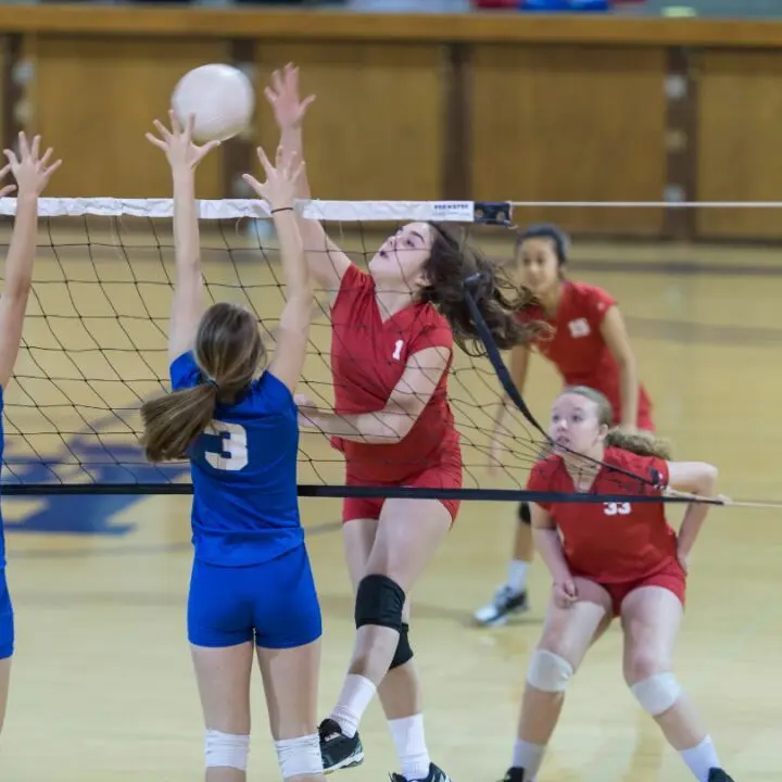 Girls Embracing Volleyball