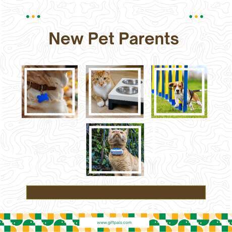Practical Gifts for New Pet Parents