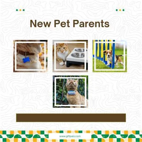 Practical Gifts for New Pet Parents