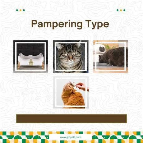 Luxury Picks for the Pampering Type