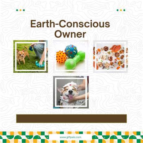 Eco-Friendly Gifts for the Earth-Conscious Owner