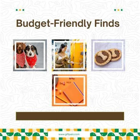Budget-Friendly Finds That Don’t Feel Cheap