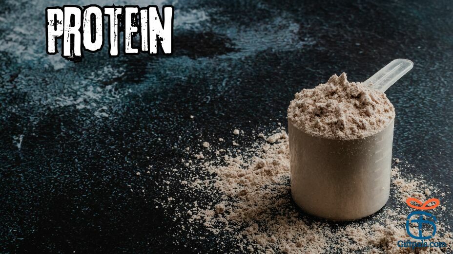 Best Protein Powder