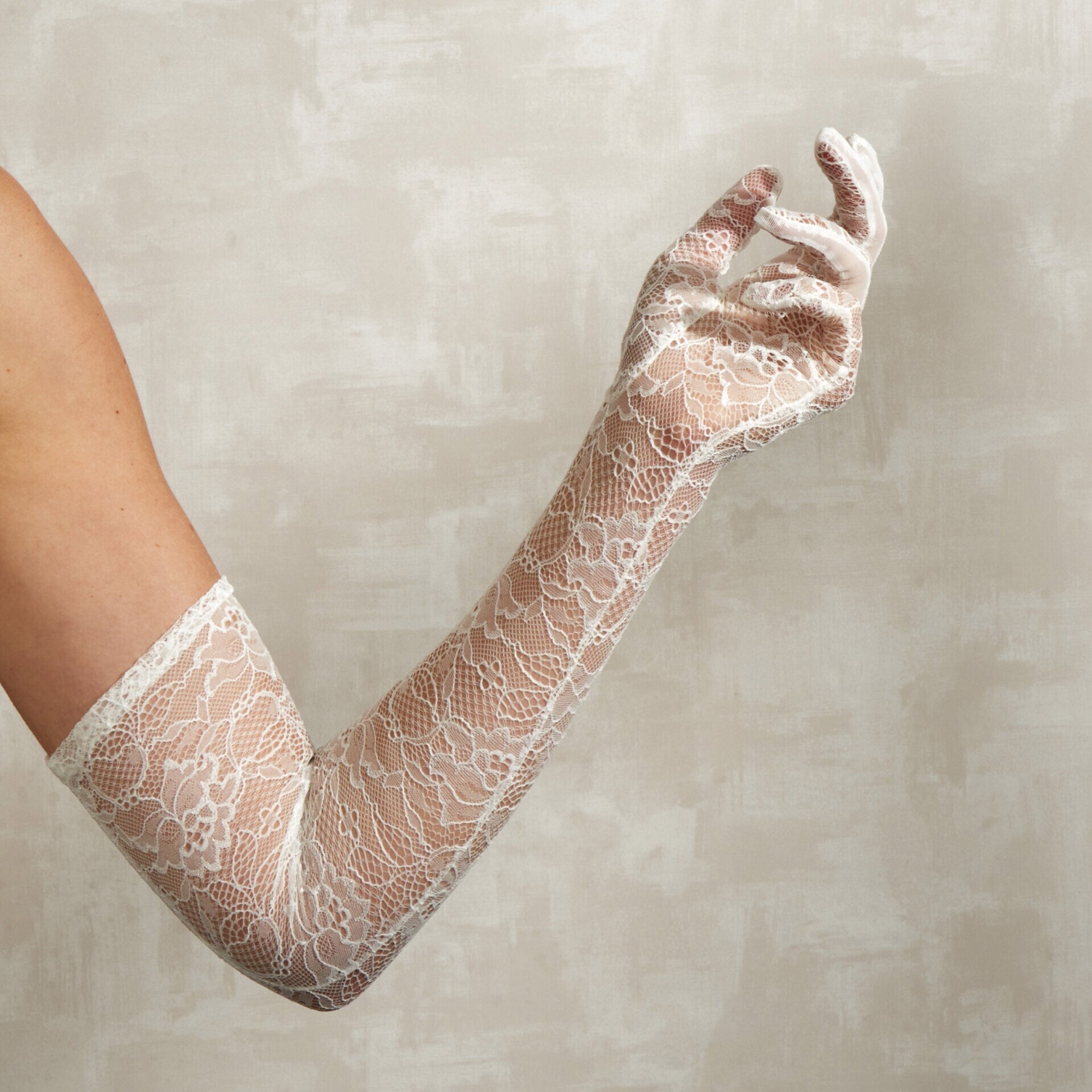 Cornelia James Anastacia Lace Opera Glove