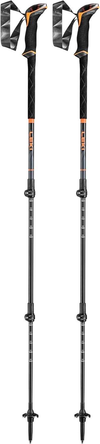 Best Custom Ski Poles