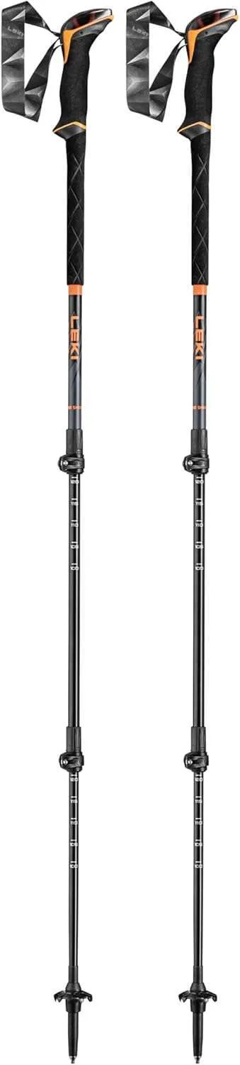 Best Custom Ski Poles