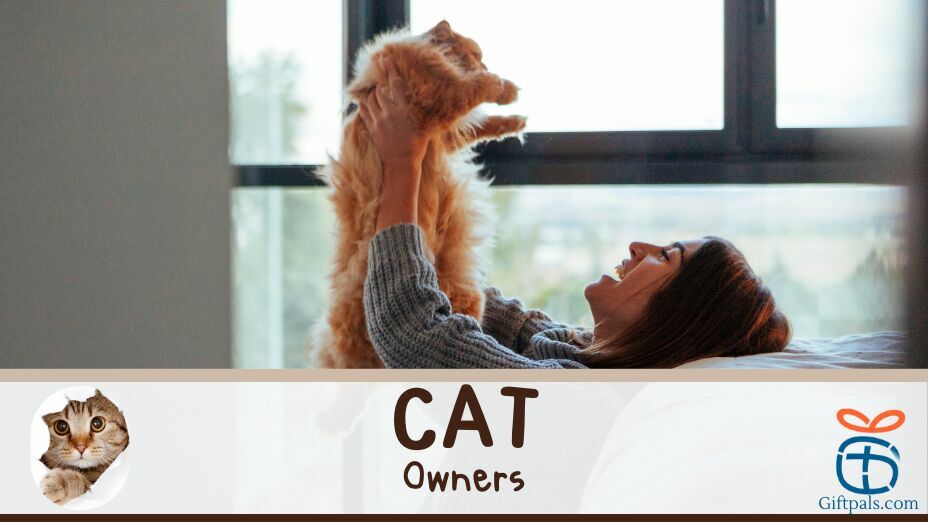 The Best Gift Ideas for Cat Owners