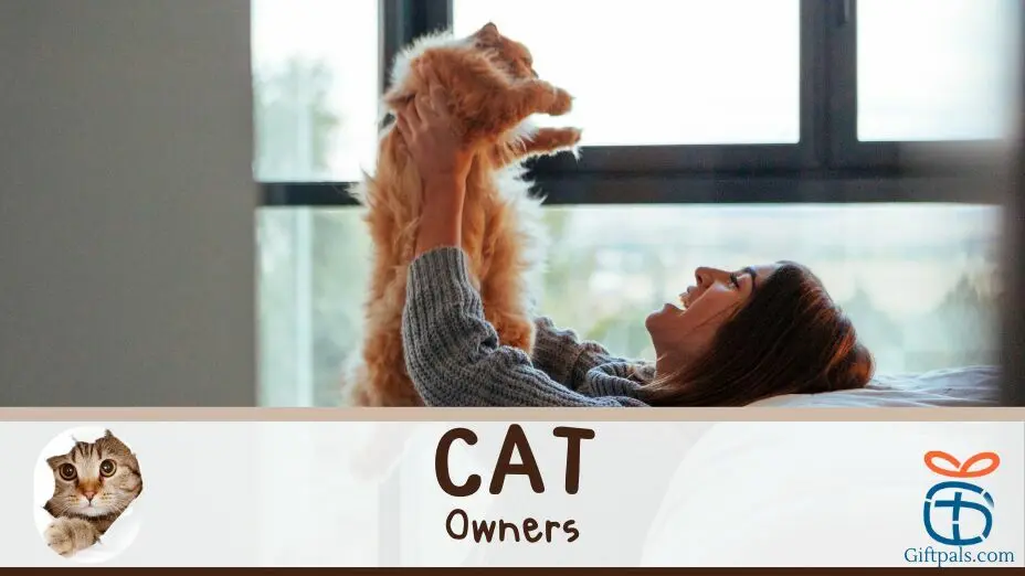 The Best Gift Ideas for Cat Owners