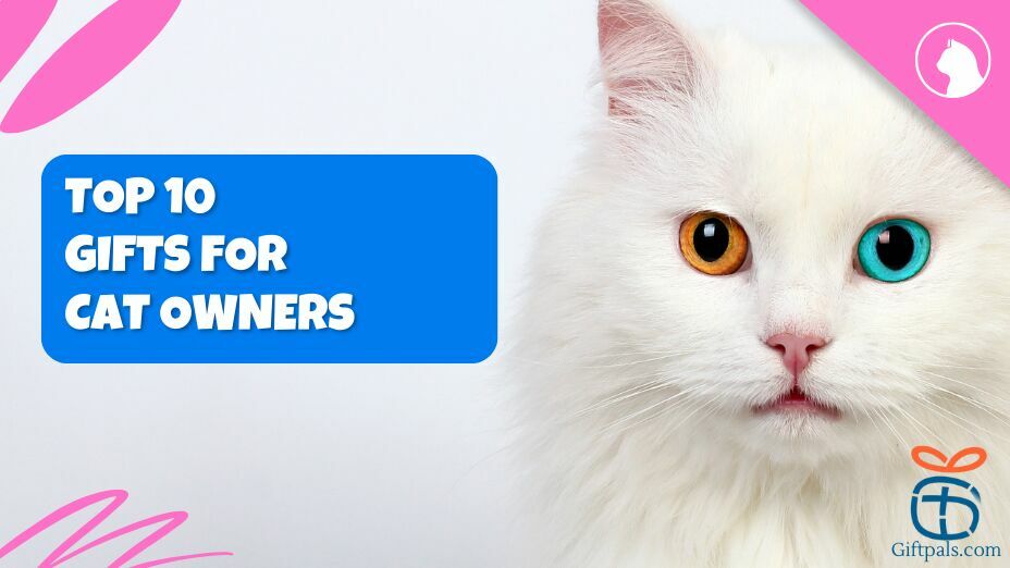 Top Gift Ideas for Cat Owners