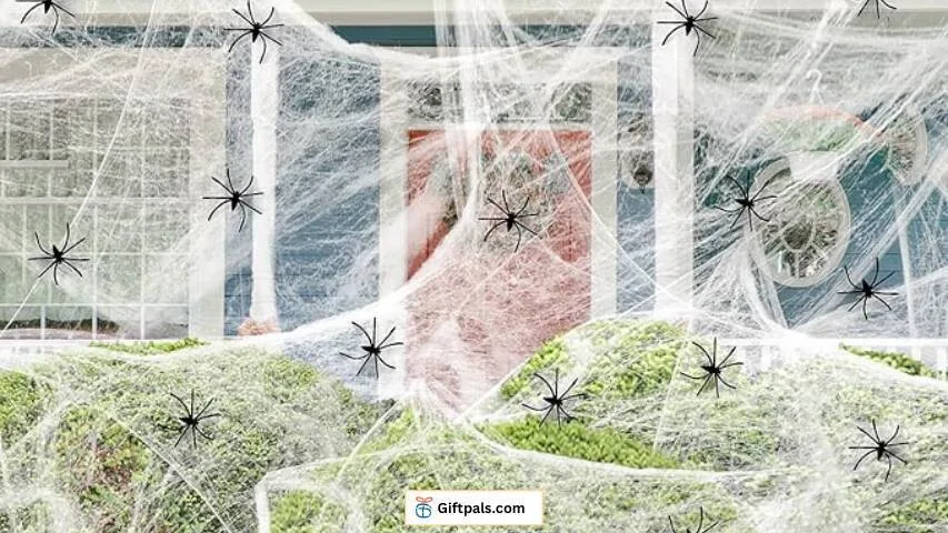 Spider Webs Decorations  