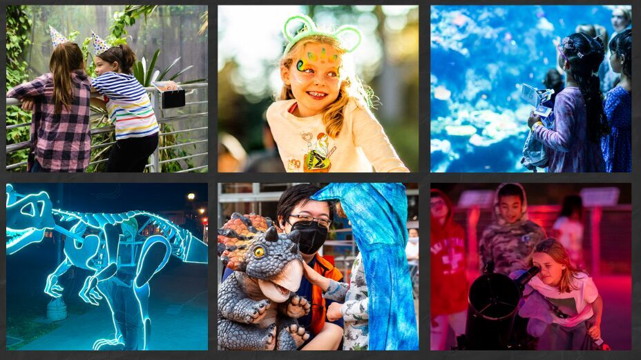 California Academy of Sciences – Cosmic Crafts Party