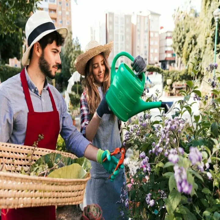 Young man and woman doing gardening work