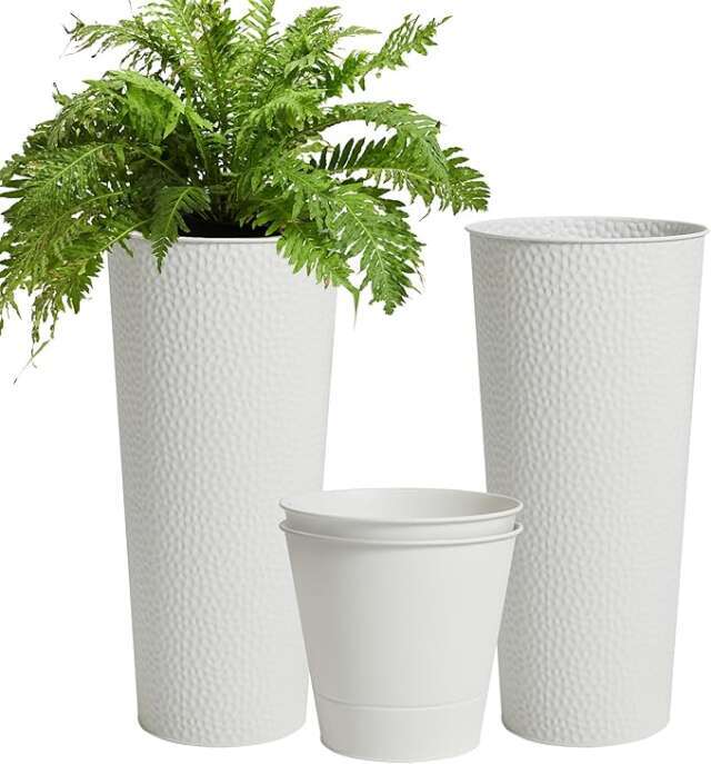 Indoor Garden Kits or Smart Planters