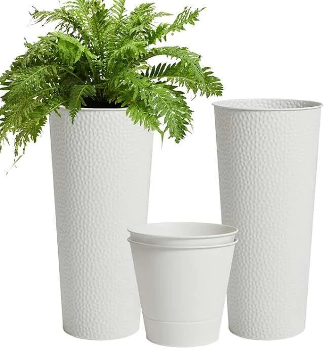 Indoor Garden Kits or Smart Planters