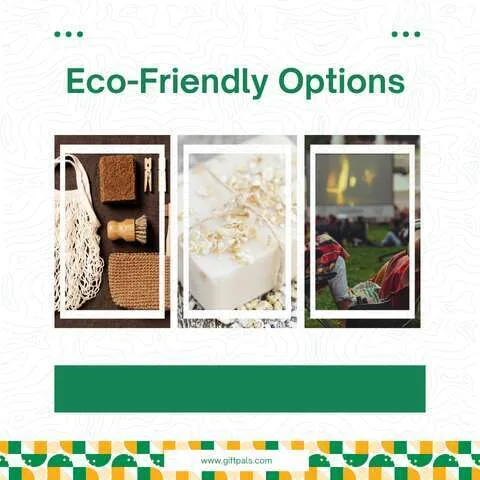 Eco-Friendly Options