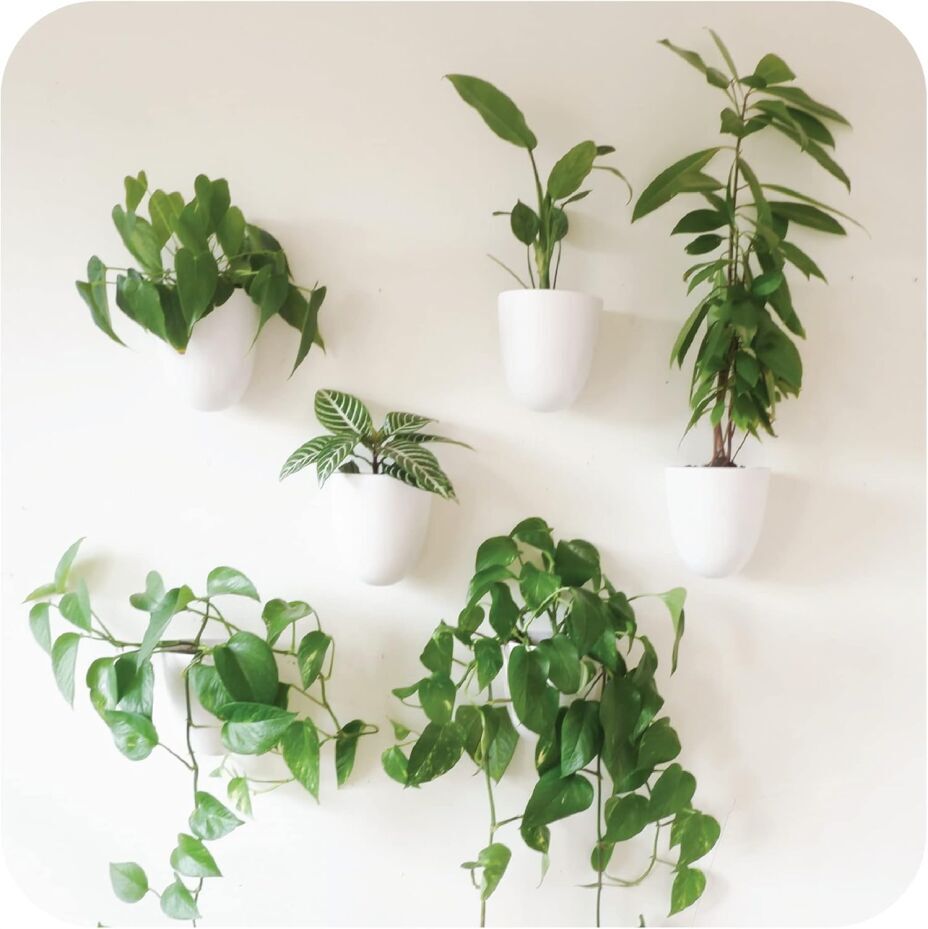 Self-Watering Wall Planters (Set of 6)