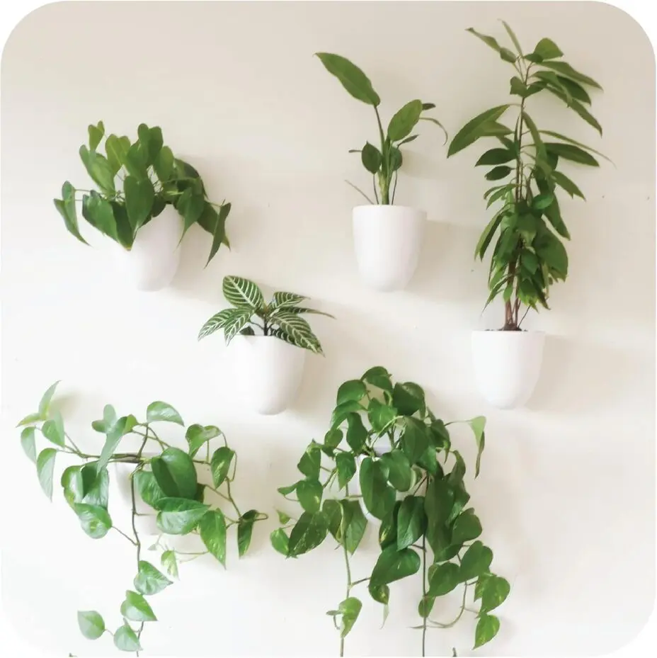 Self-Watering Wall Planters (Set of 6)