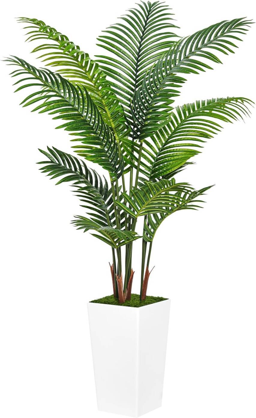 Tropical Plant Decor