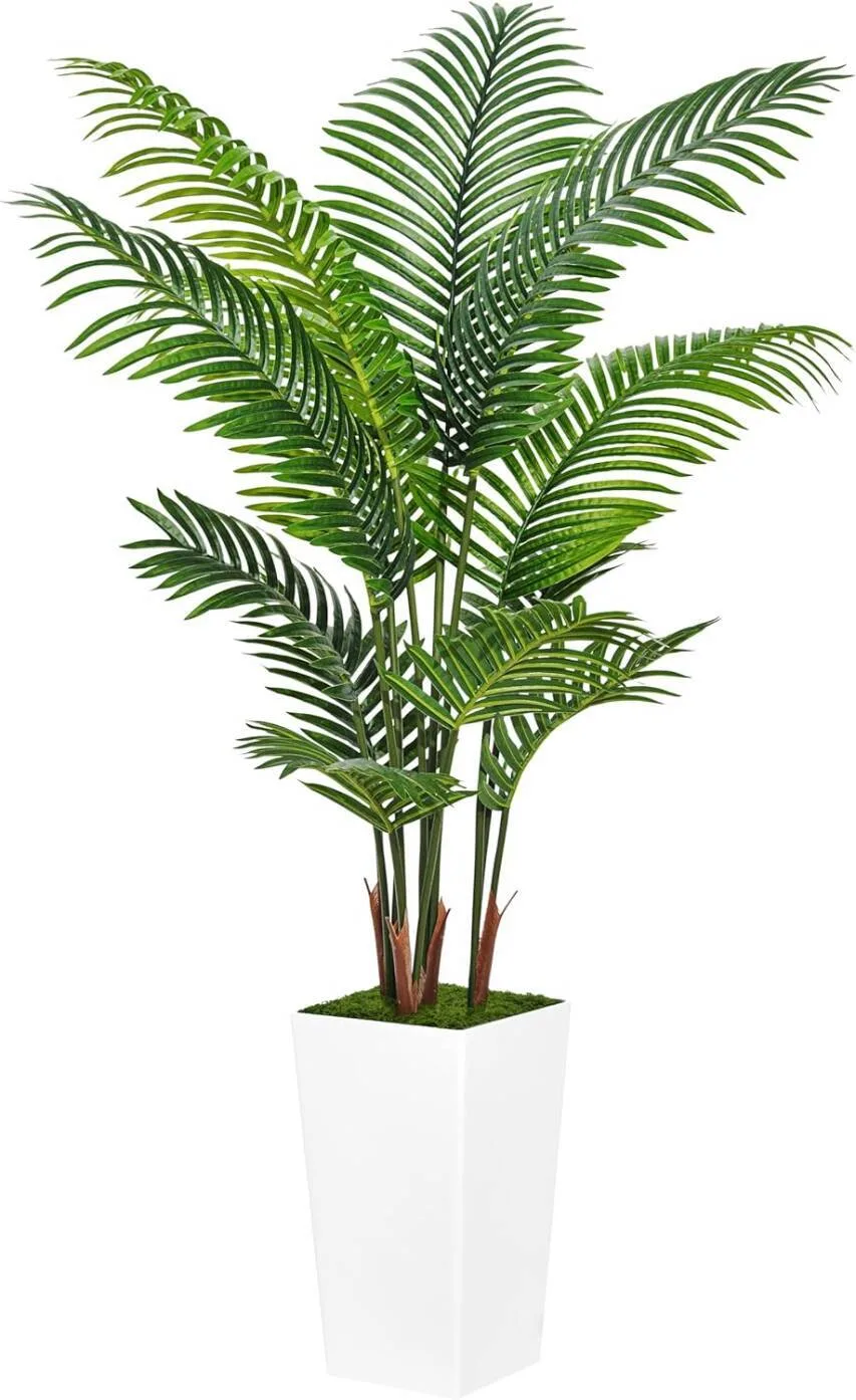 Tropical Plant Decor