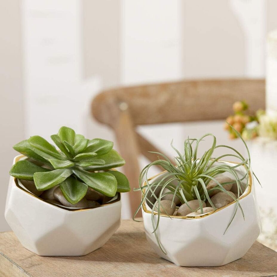 Geometric Concrete Planters