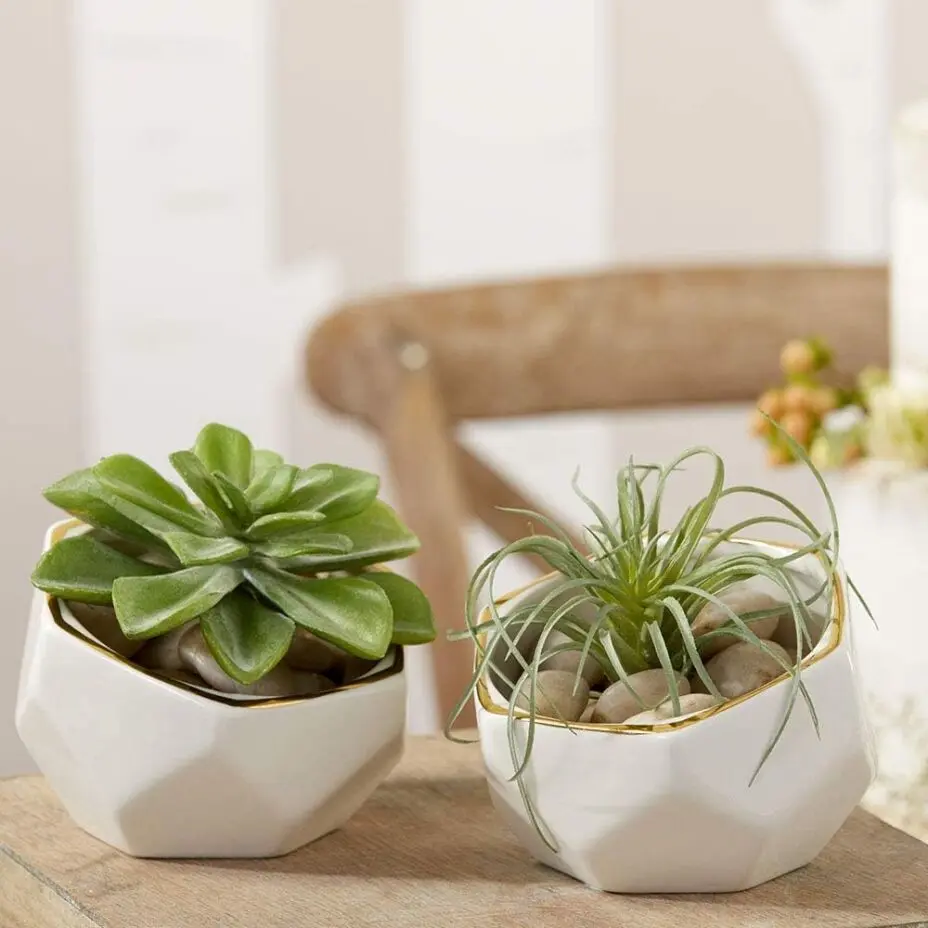Geometric Concrete Planters
