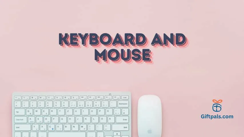 KEYBOARD AND MOUSE