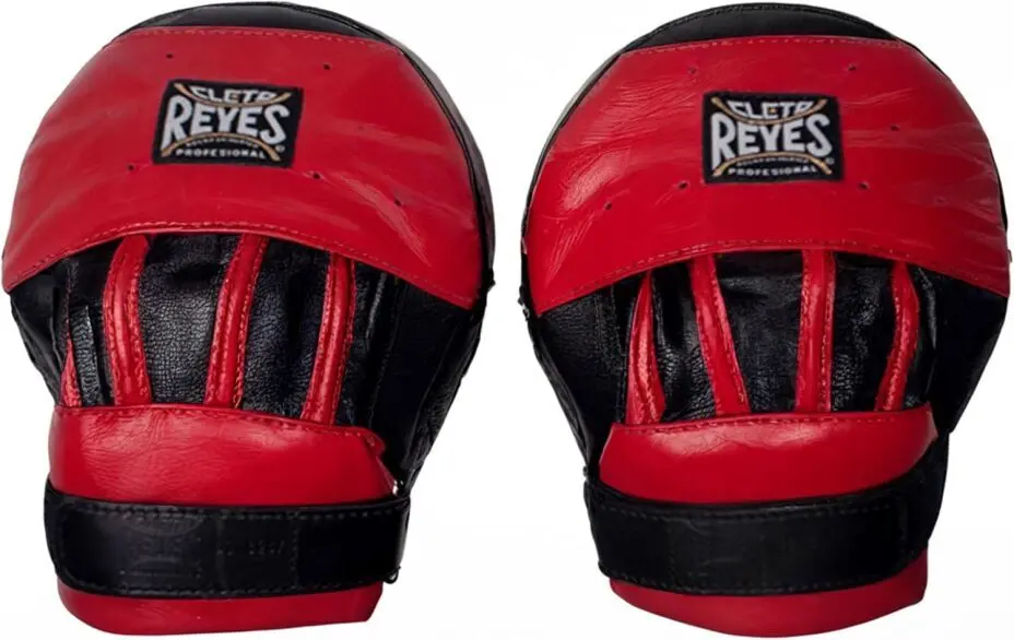 Ringside Pro Boxing Mitts