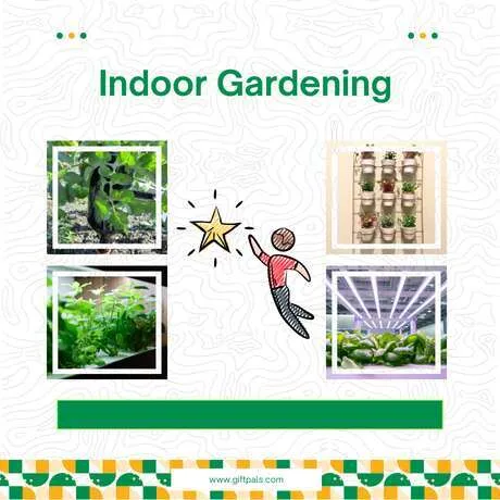 Indoor Gardening Gifts for Apartment Dwellers