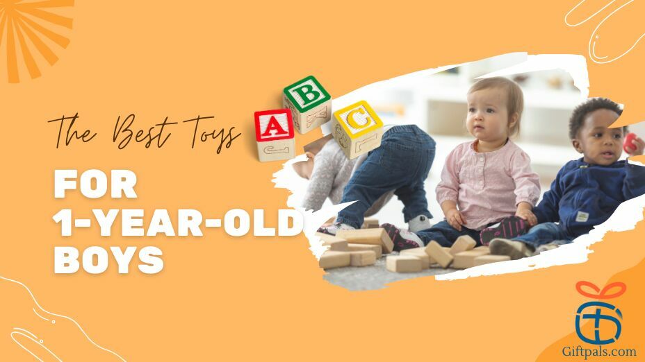 1-Year-Old Boys Toys Gift Idea