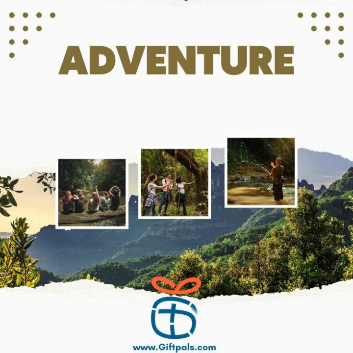 Adventure Gift 