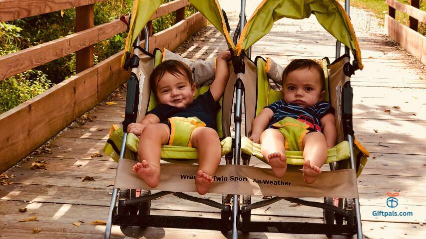 strollers for twins