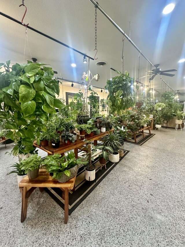 Plant-Shop Oasis