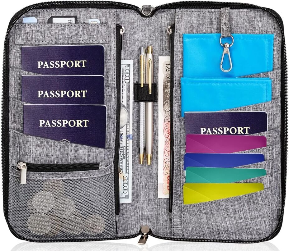 Best Travel Document Organizer