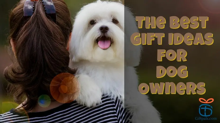 The Best Gift Ideas for Dog Owners