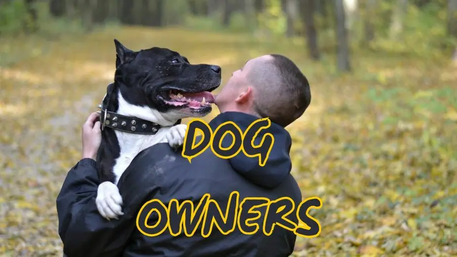 Dog Owners Gift Ideas