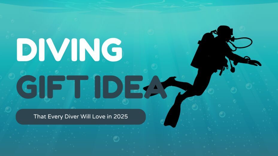 Best Diving Gifts for Every Diver