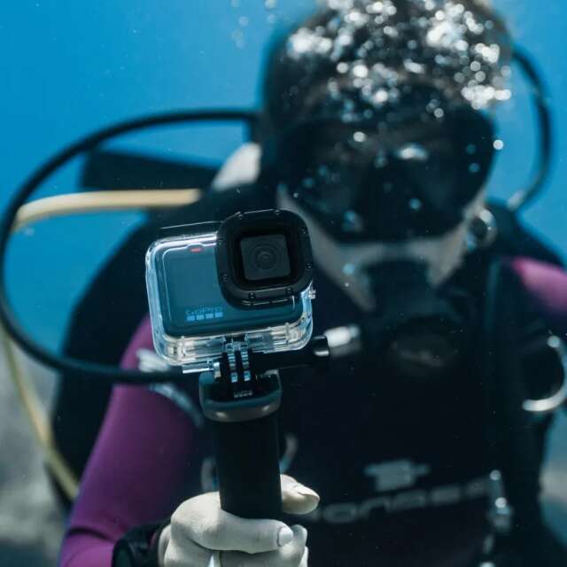 Top Cameras for Stunning Dive Shots