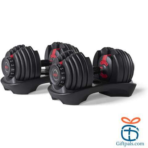 Bowflex Dumbbells 552 Set