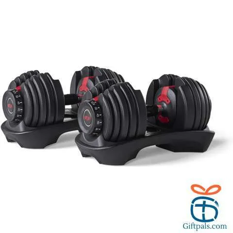 Bowflex Dumbbells 552 Set