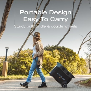 Shop EcoFlow Delta PRO & Extra Battery for Endless Power