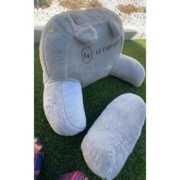 Luxurious Reading Pillow for Kids/Teens with Detachable Neck Roll