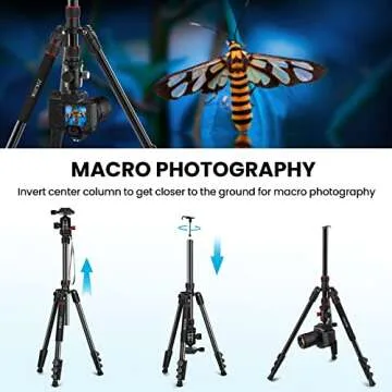 ZIKZOK 80" Camera Tripod,Travel Lightweight Heavy Duty Tripods & Monopods with 360°Ball Head,Phone Holder,33lb Load,Compatible with DSLR Cameras,Smart Phone,Projector,Webcam,Spotting Scopes