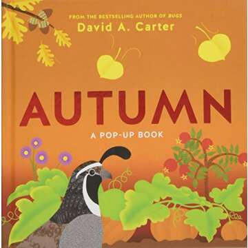 Autumn: A Stunning Pop-Up Book for Children by Mr. Carter