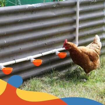 Lil'Clucker 5pc Large Automatic Chicken Waterer Cups with 1/2" PVC Tee Fittings - Chicken Water Cups...
