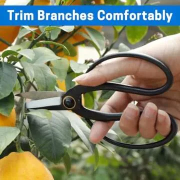 Quality Bonsai Pruning Scissors for Easy Trimming