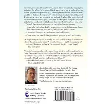 Your Soul's Plan: Discovering the Real Meaning of Life