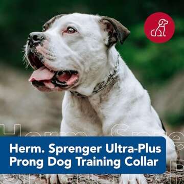 Herm Sprenger Ultra-Plus Prong Dog Training Collar - Chrome, Adjusts for Comfort
